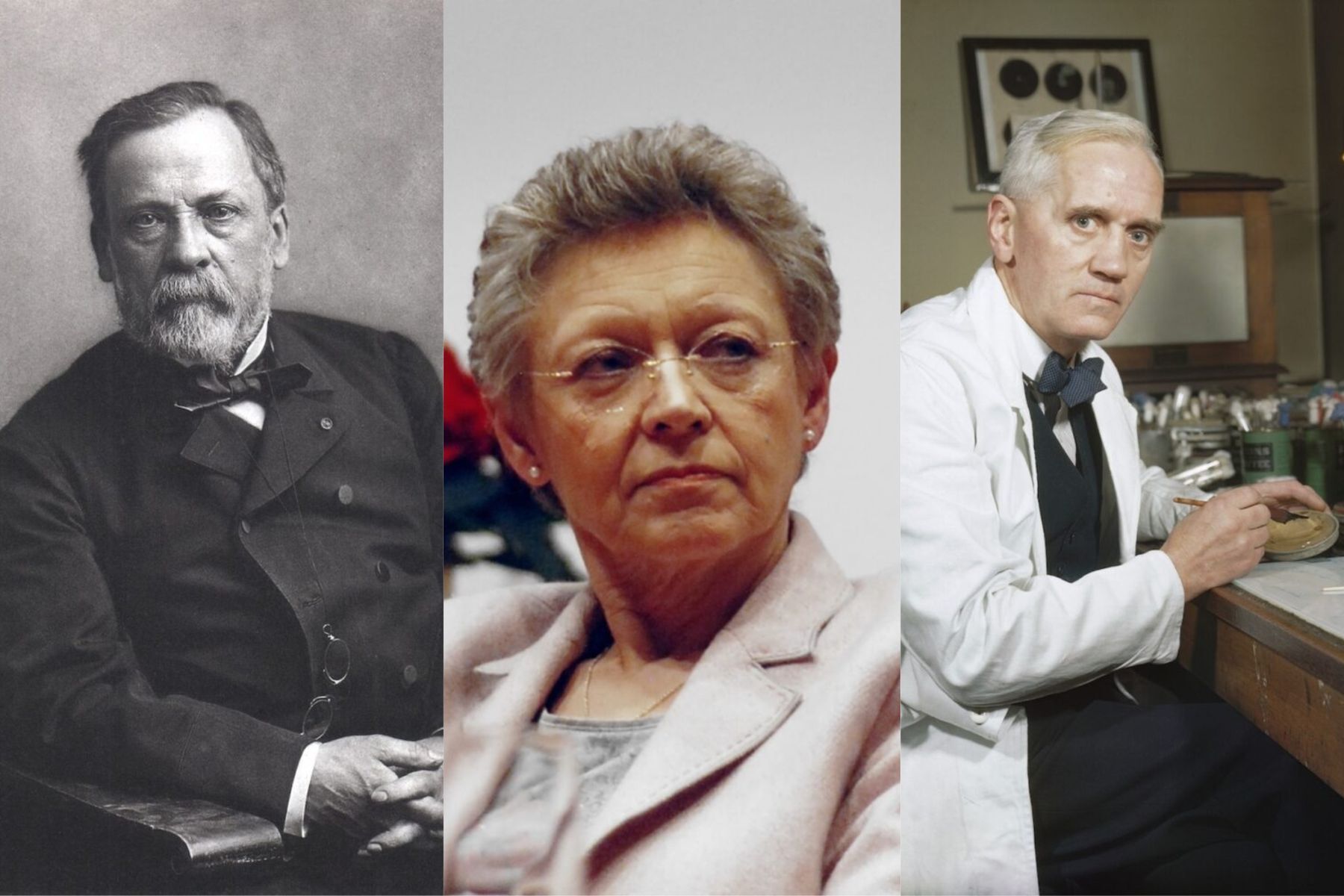 The most influential people in the history of medicine