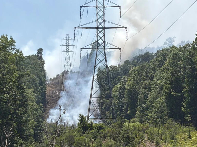 Roanoke County brush fire 100% contained