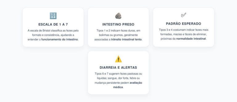 Escala de Bristol: o número das fezes que ajuda a diferenciar intestino ...