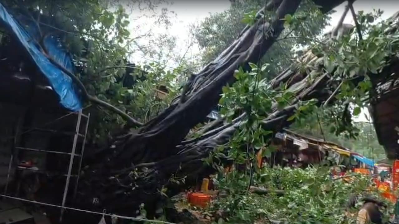 Caught on camera: Massive tragedy averted amid Mumbai rains as huge ...