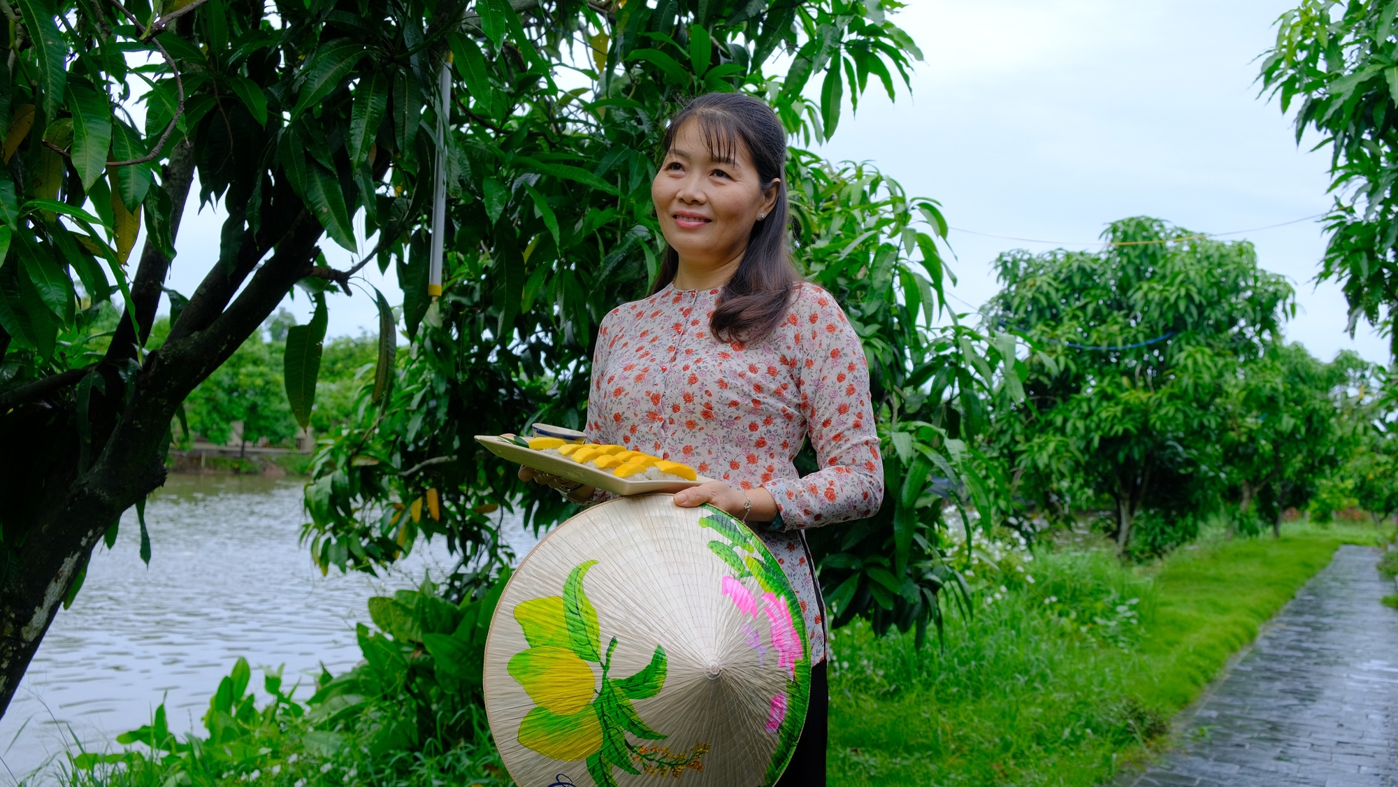 Biết làm du lịch từ vườn xoài, càng gặt hái thêm quả ngọt