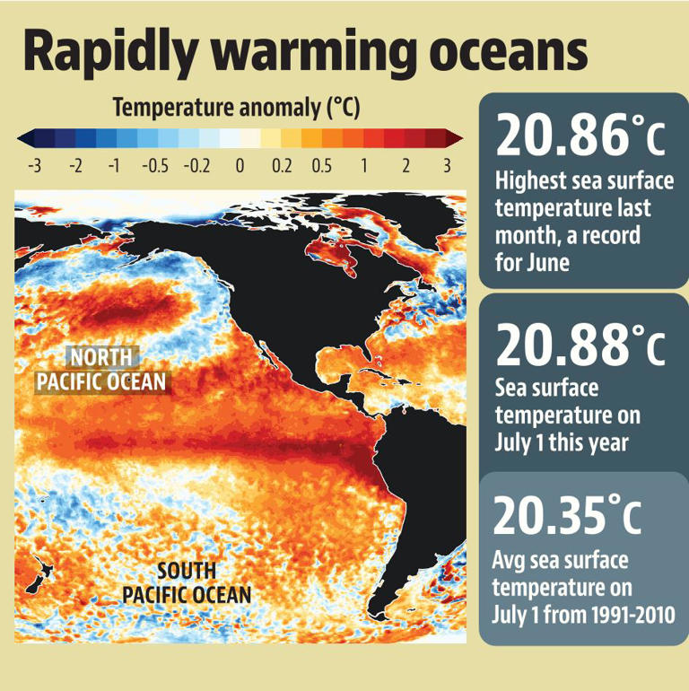 El Niño to amplify in coming months, likelihood of extreme weather ...