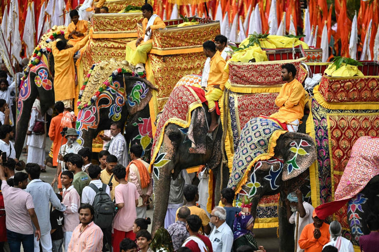 Mahouts wait with decorated elephants during Jal Yatra, a Hindu religious procession from Lord Jagannath temple to Sabarmati riverfront in Ahmedabad, India, on June 29. Photo: AFP