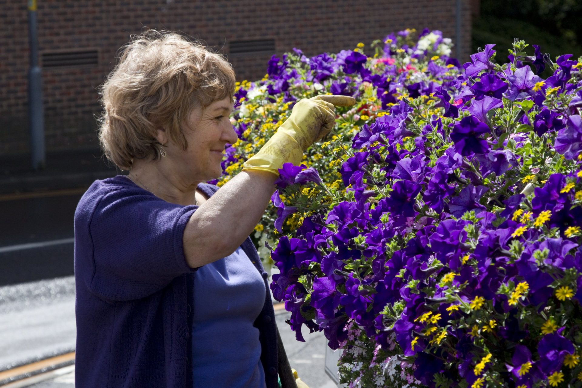 An expert gardener’s guide to deadheading – the how, when and why