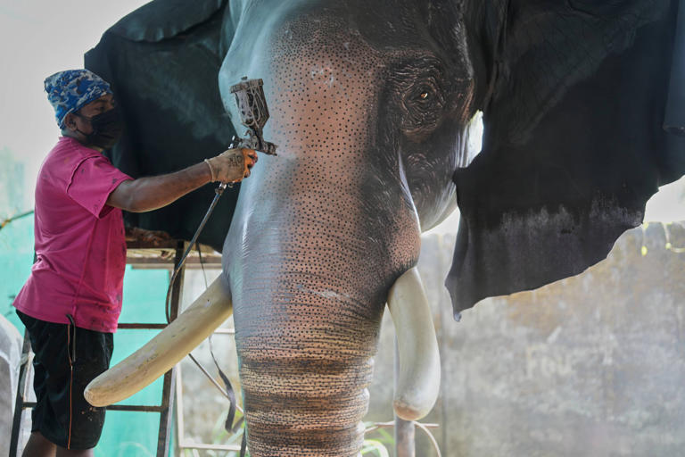 A worker sprays paint on a robotic elephant at a backyard workshop in Chalakudy, in the southern Indian state of Kerala, in May. Photo: AP