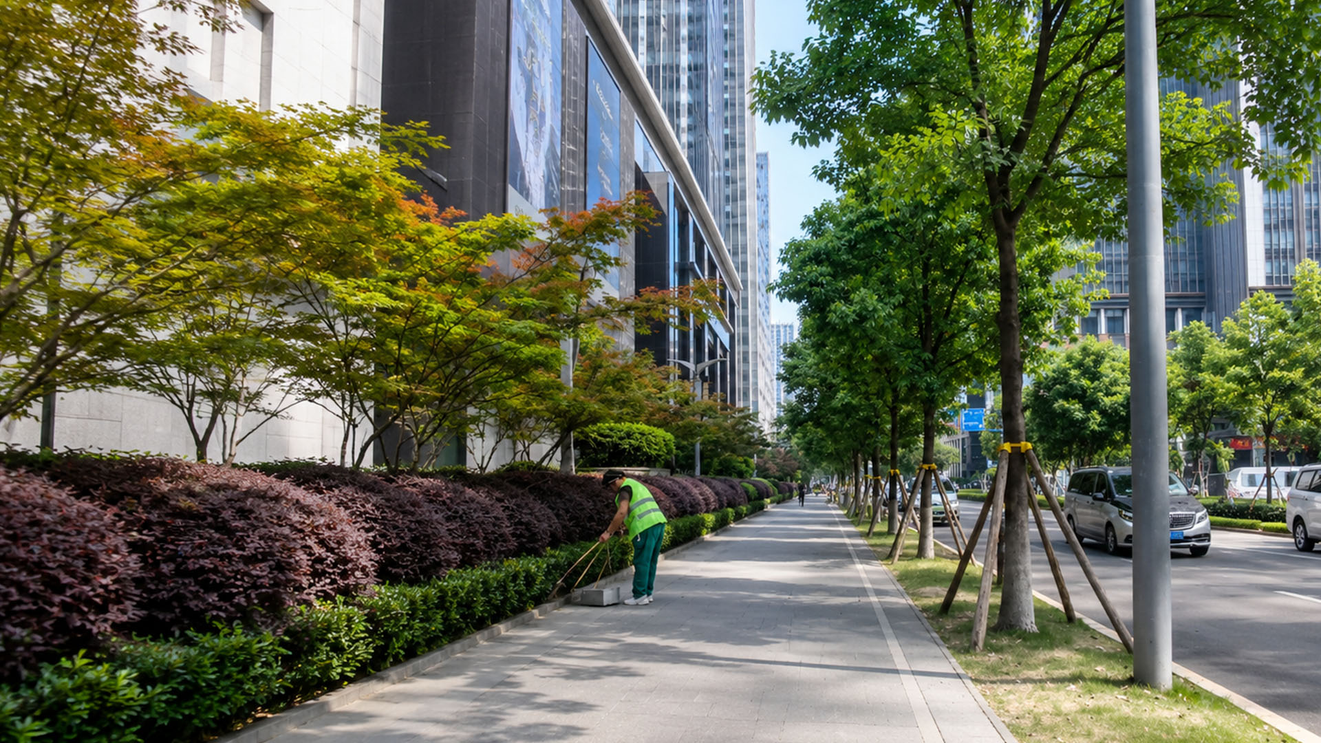 Espacios verdes transforman el entorno urbano en ciudades de China