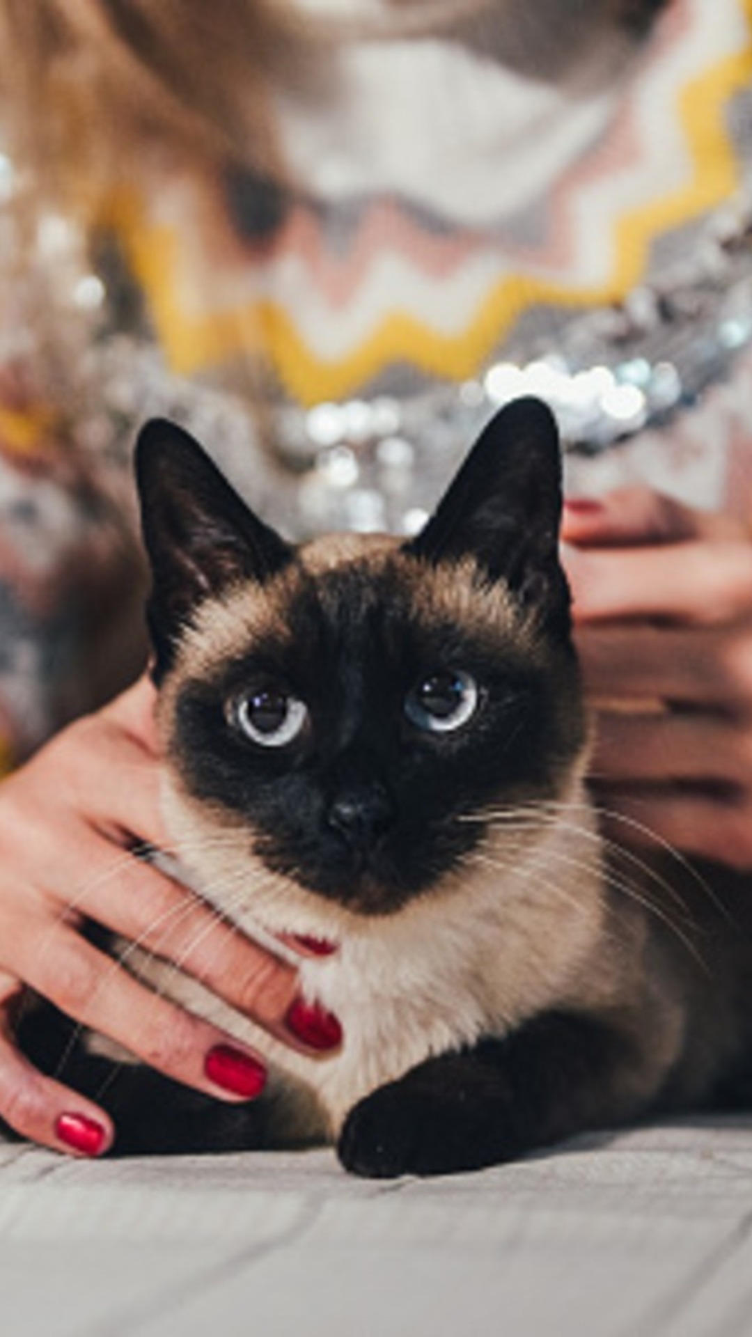 Which cat breed matches your zodiac sign best