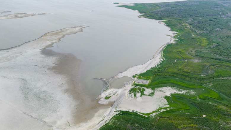 Aerial photo of Choke Canyon Reservoir