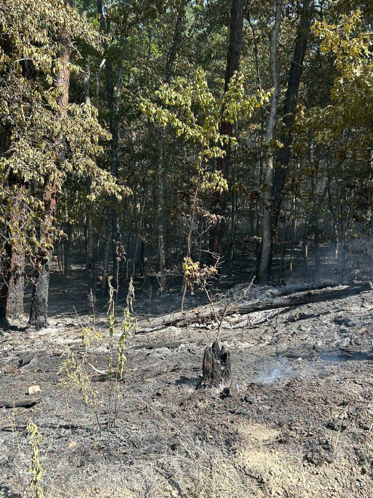 Roanoke County brush fire 100% contained