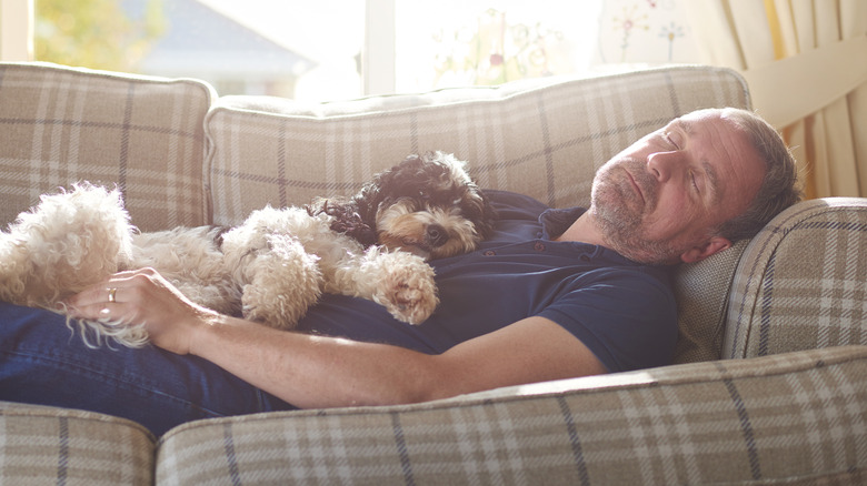 When You Nap Every Day, Here's What Happens To Your Brain