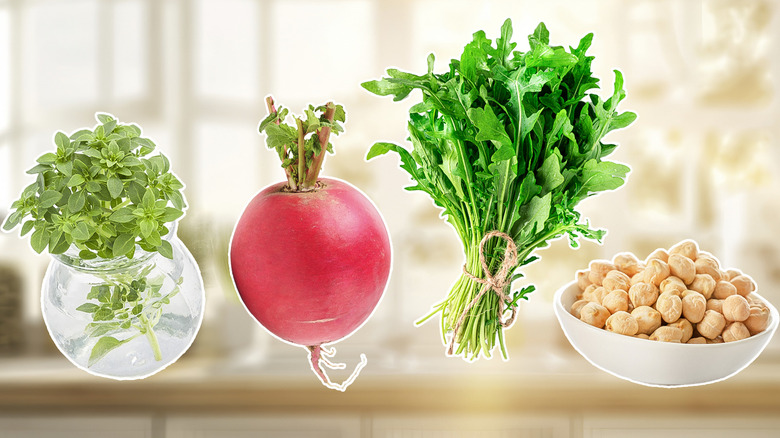 18-absolute-best-seeds-to-grow-in-your-kitchen-and-why