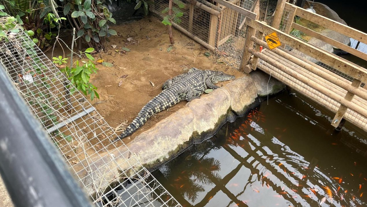 More than £100,000 raised for boy injured by crocs including huge sum from mystery donor