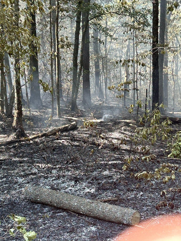 Roanoke County brush fire 100% contained