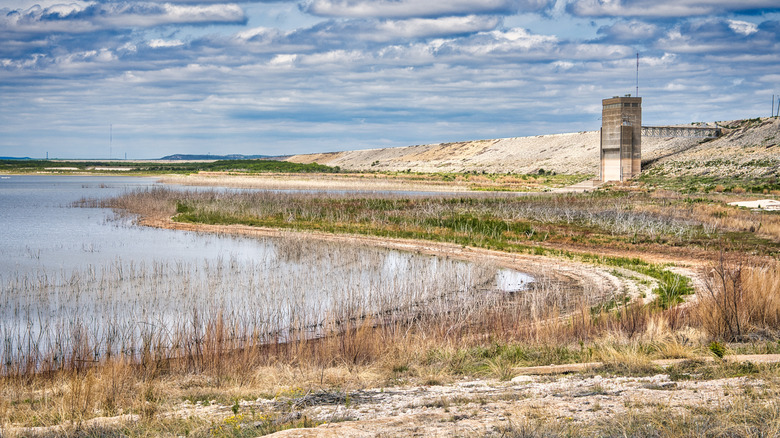 Low water and exposed vegetation at O.C. Fisher Lake in San Angelo State Park, Texas