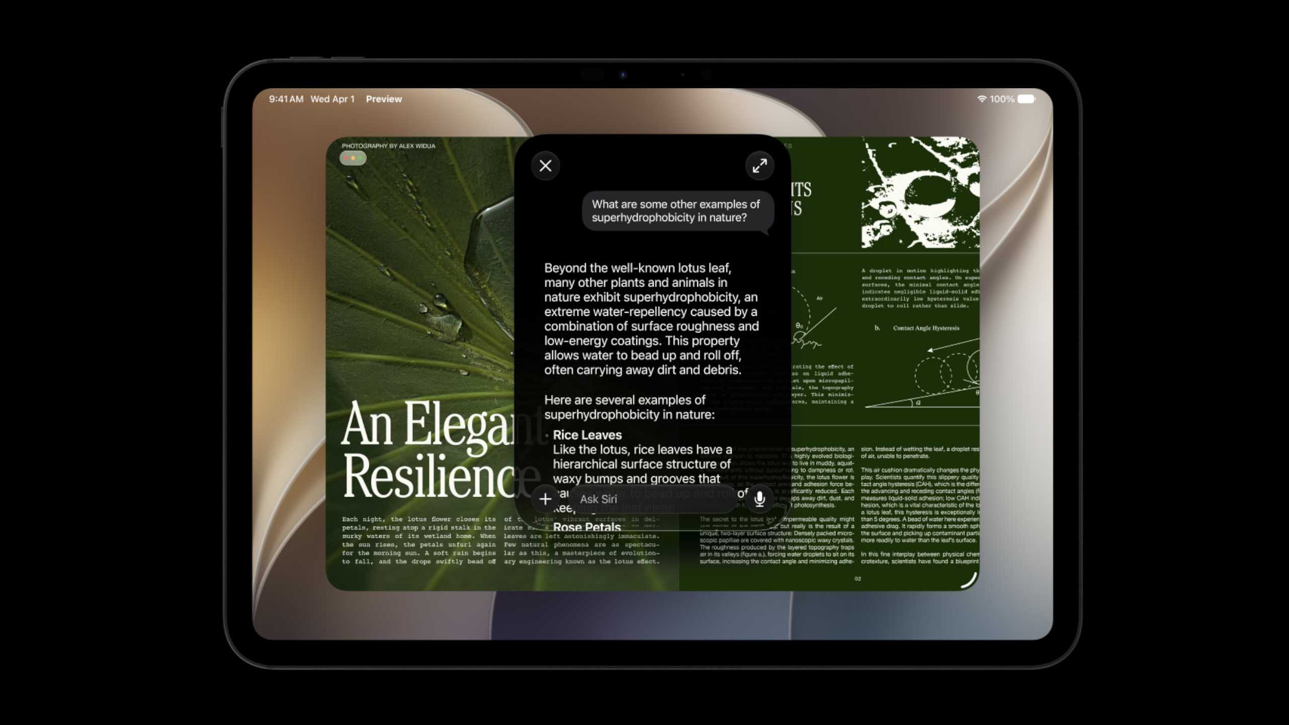 Chatting with Siri AI in iPadOS 27.