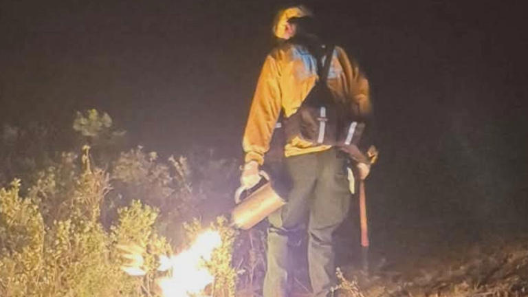 Log Road Fire now 100% contained; burned 1,525 acres