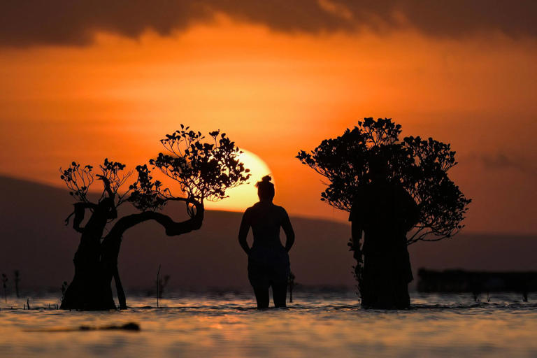 A person stands among mangrove trees at sunset in East Sumba, Indonesia's East Nusa Tenggara province, last month. Photo: AFP