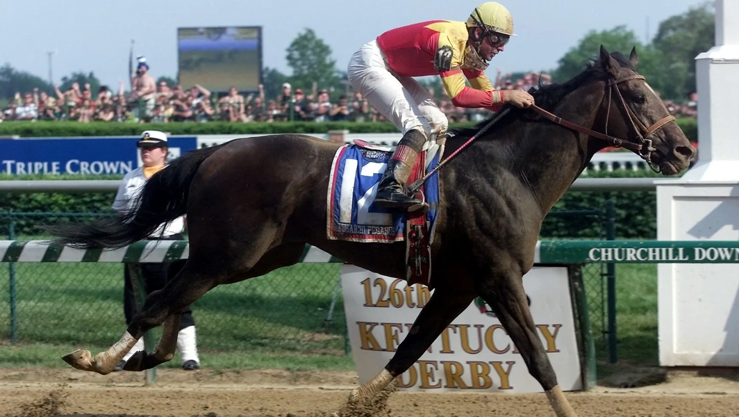 10 most expensive and prestigious horse breeds
