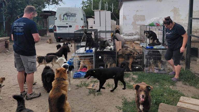 Animal rescue mission was like a Terminator film