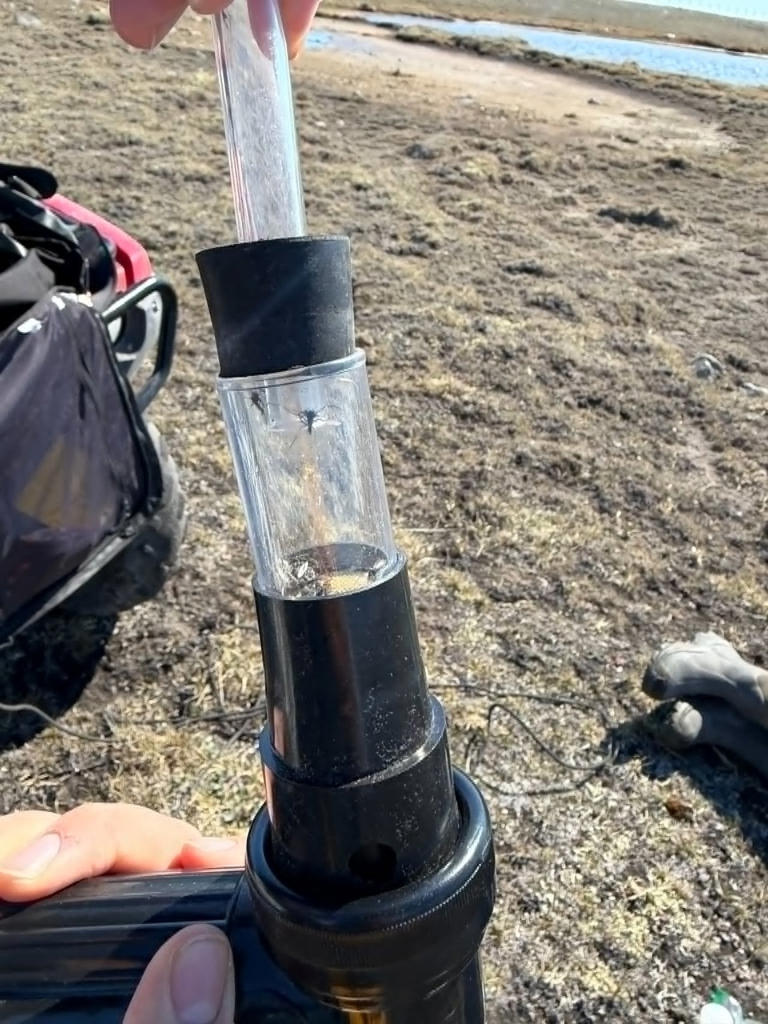 Monitoring program in Nunavut finds biting insects emerging earlier ...