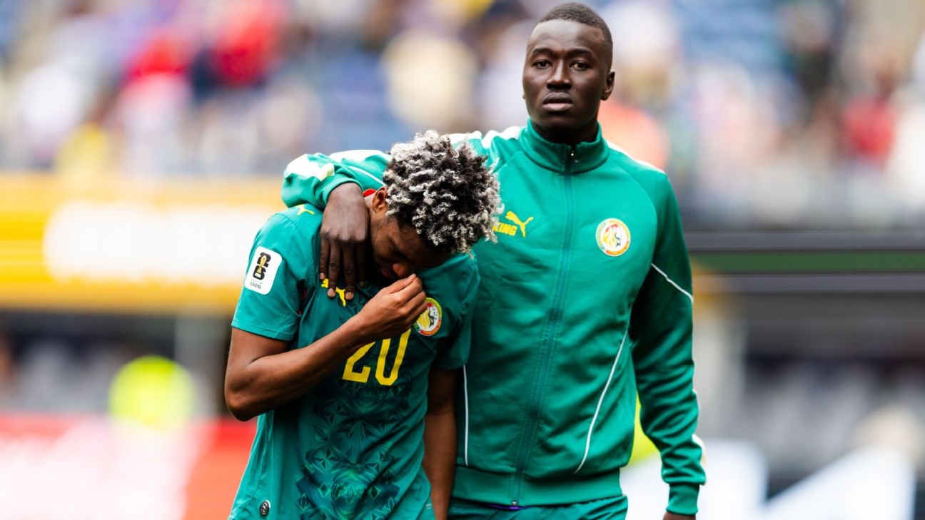 Africa's FIFA World Cup, though historic, was characterised by 'what ifs'