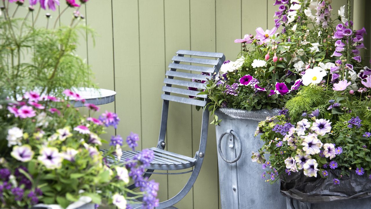 This fragrant, hardy shrub is quietly replacing gardenia – for abundant blooms without the stress