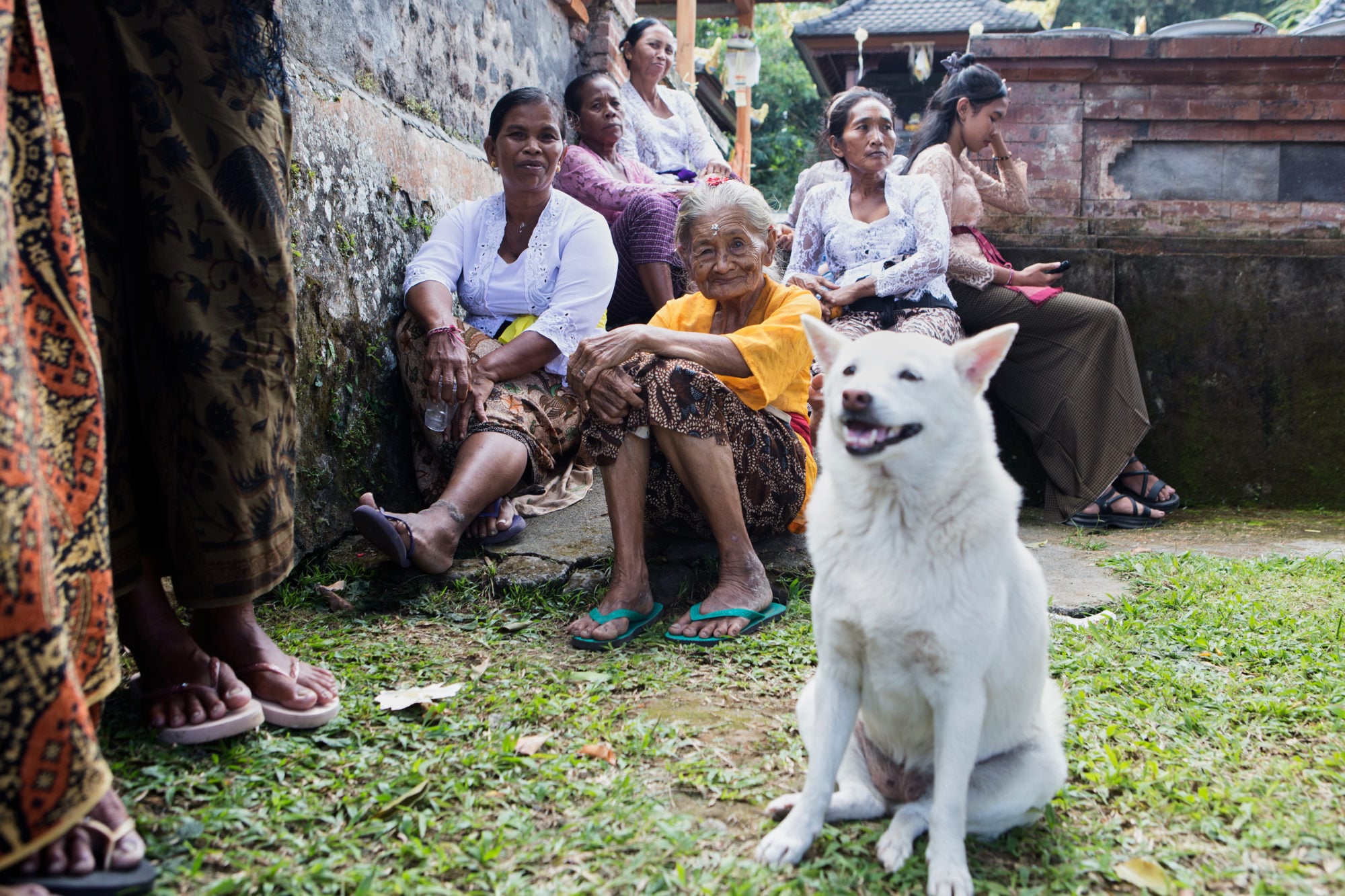 Balinese women gather alongside a pet dog during a Hindu festival on June 27. Photo: AP
