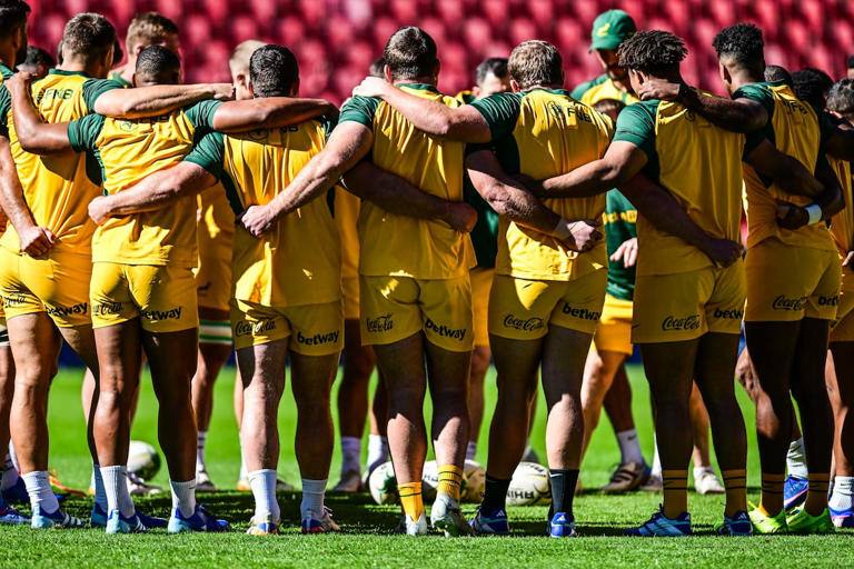Springbok star suffers concerning injury