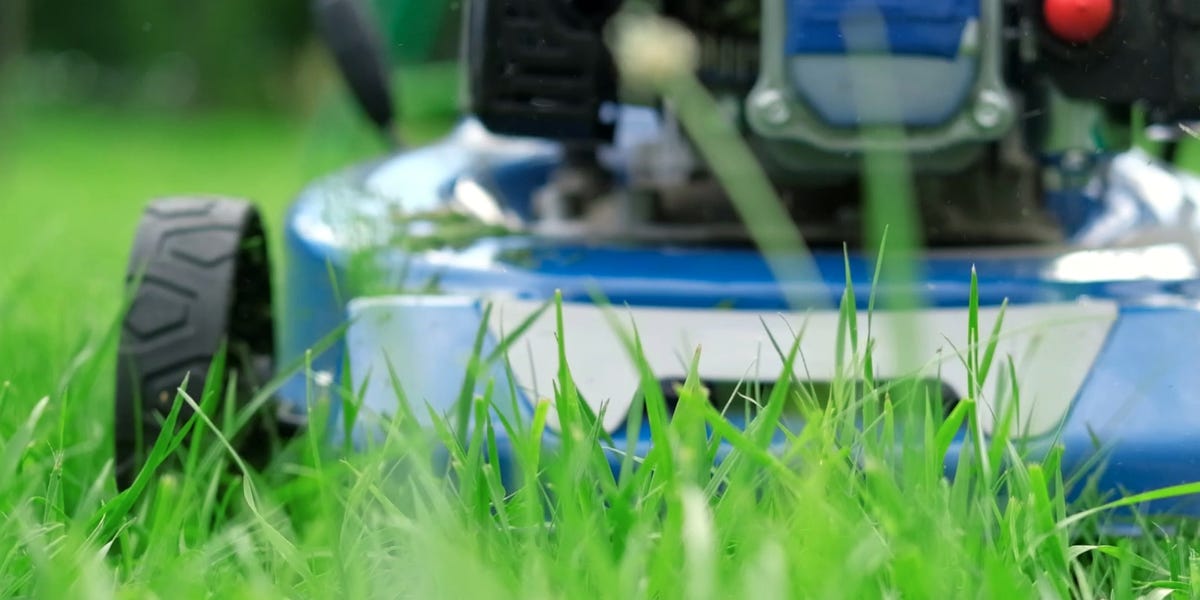 The easy lawn fix that helps grass survive heat and drought stress
