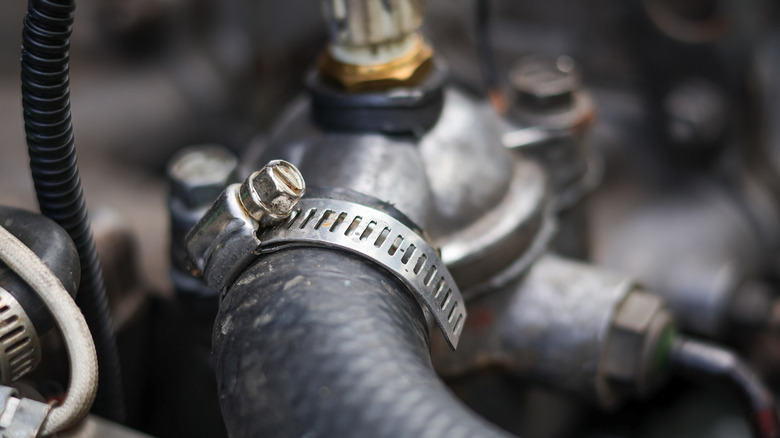 Close-up of radiator hose with hose clamp fitted