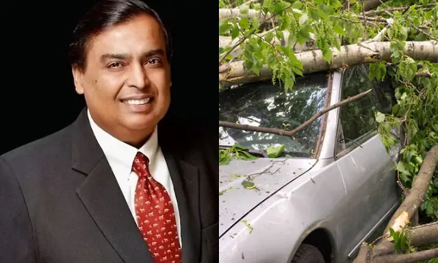 Mumbai rains: Tree collapses in front of Mukesh Ambani's security convoy