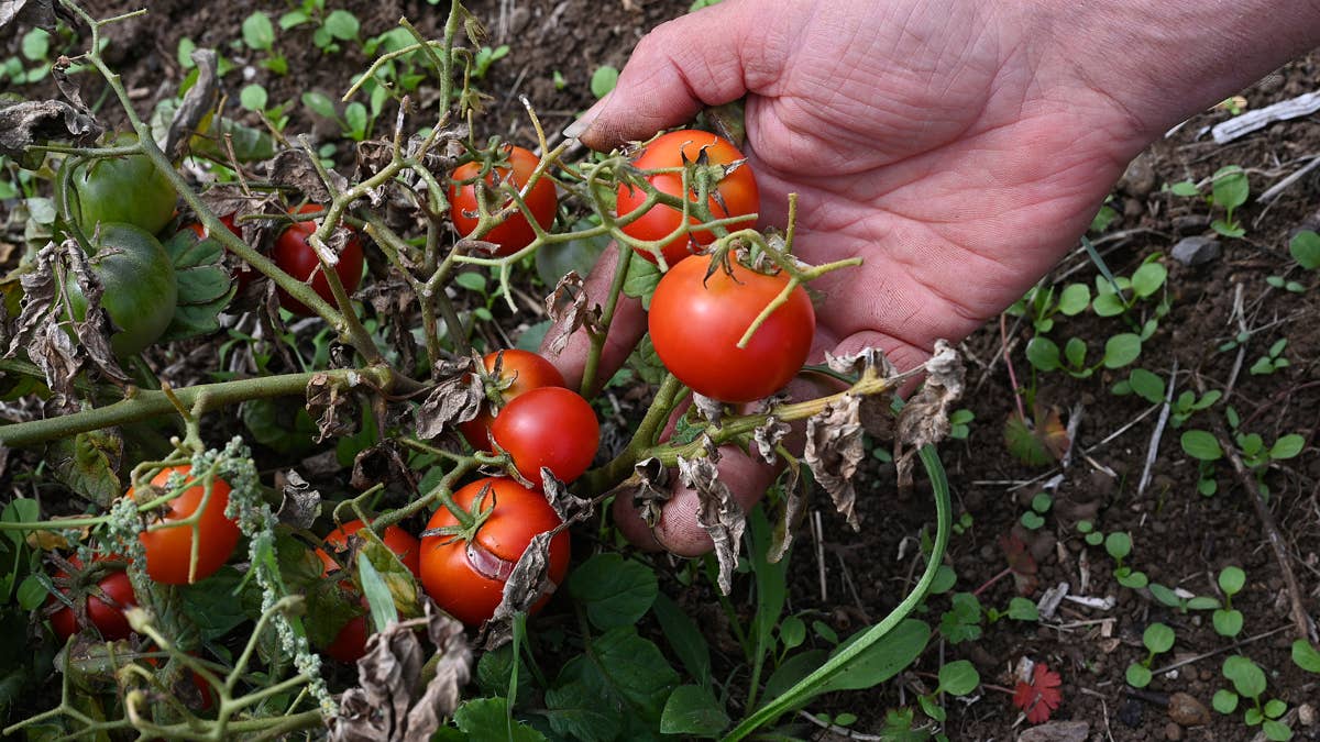france-agriculture-drought-climate