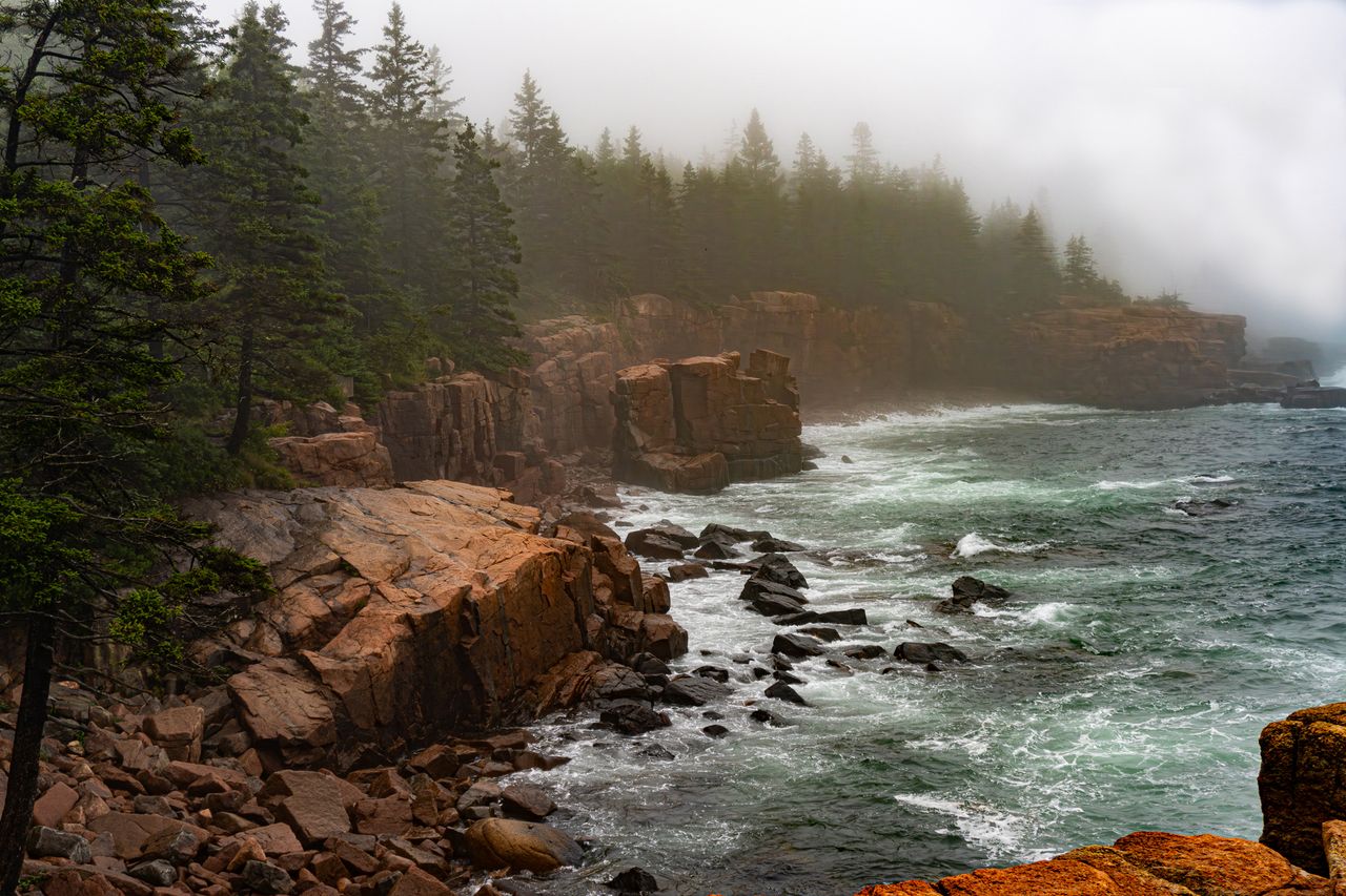 A rocky coastline with trees and waves possibly in Acadia National Park