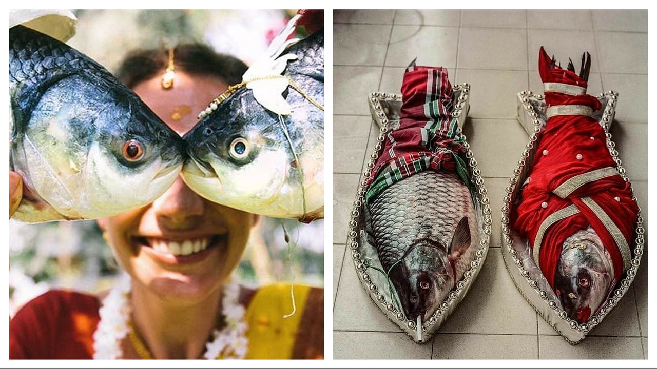 Significance of fish in Bengali weddings: Why every ritual celebrates ...