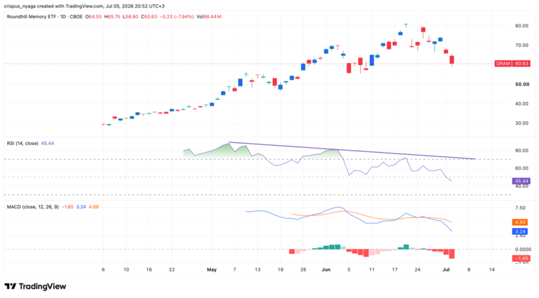DRAM stock drops 25% as its biggest risks start unfolding