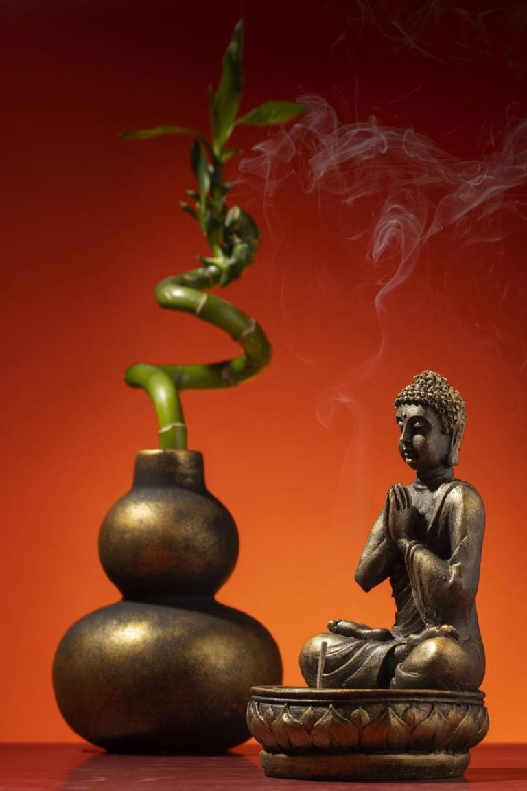 Moneda De La Fortuna China Feng Shui – Dios De La Riqueza, Amuleto De Buena Suerte Y Prosperidad