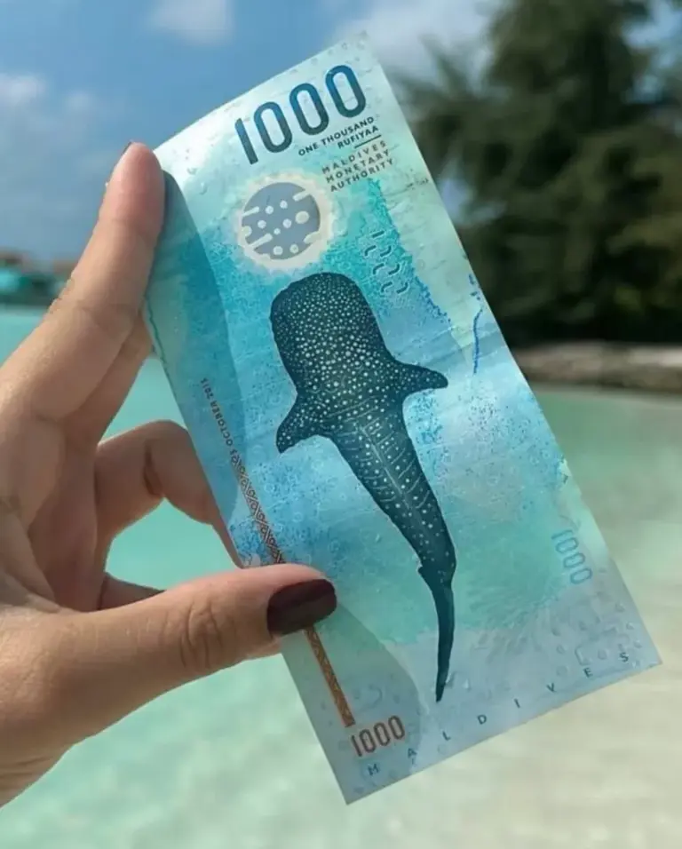 Why the Maldives’ 1,000 rufiyaa banknote is being called one of the ...
