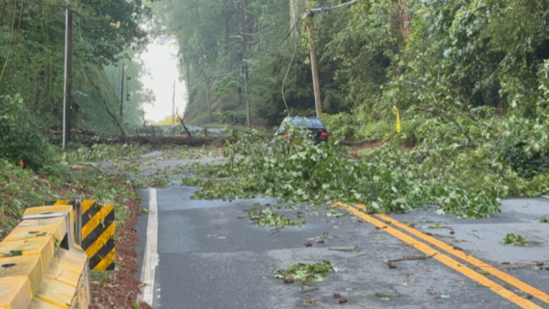 Storms snap trees, knock out power across metro Atlanta