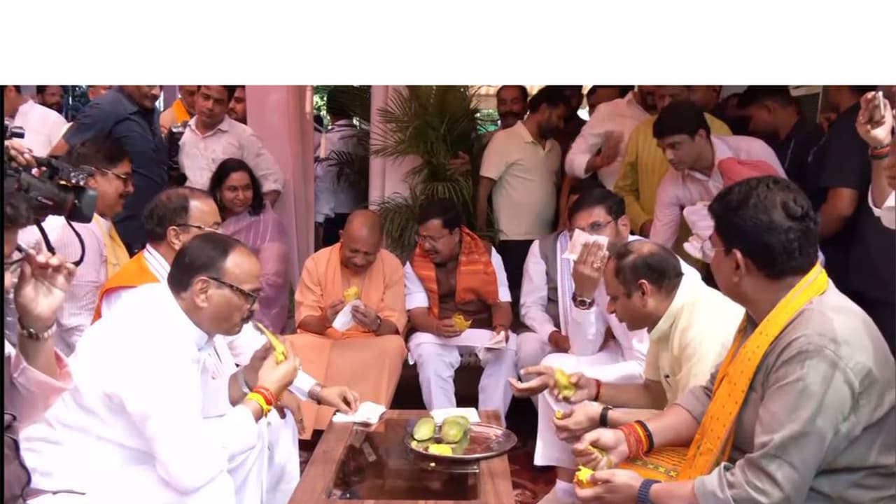 Yogi Adityanath, BJP leaders bond over mangoes, family in Lucknow