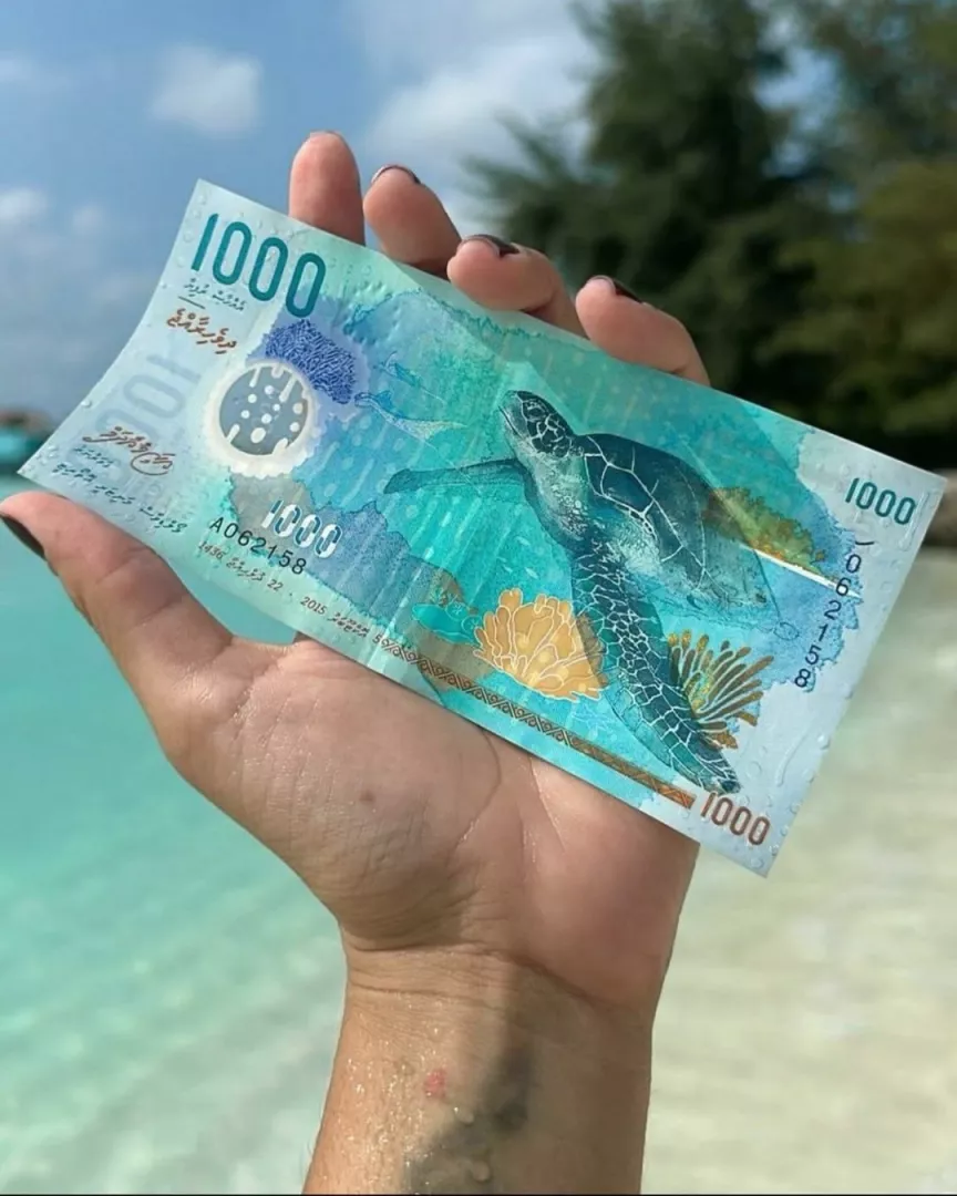 Why the Maldives’ 1,000 rufiyaa banknote is being called one of the ...