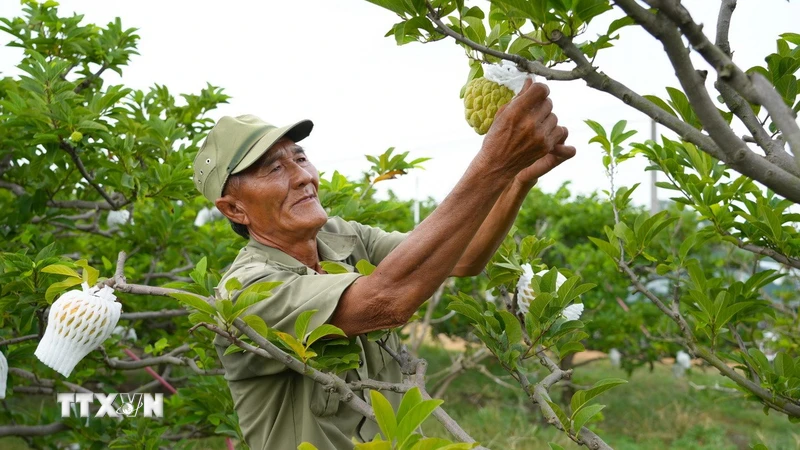 Bộ Nông nghiệp và Môi trường công bố kế hoạch đổi mới sáng tạo thời kỳ 2026-2030