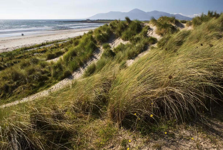 Northern Ireland's best beaches unveiled: See this summer's top spots ...