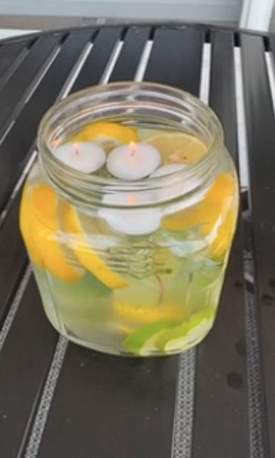 DIY bug & mosquito repellent, easy home hacks that actually work