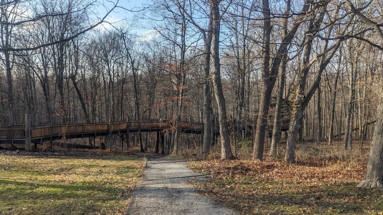 A treehouse at Mt. Airy Forest in the late fall.