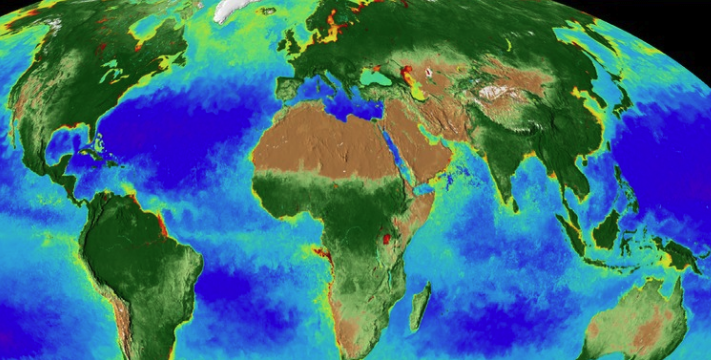 Scientists calculated when the last plants on Earth will die