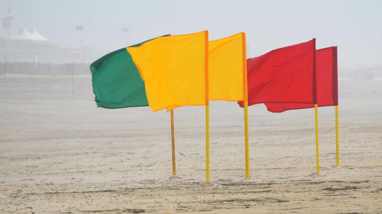 What do red, yellow, purple, green, and double flags mean at the beach ...