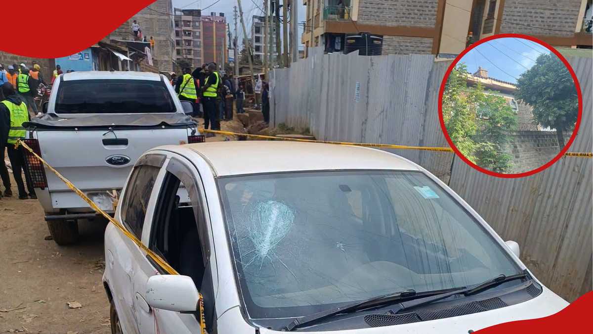 Fresh details show alleged carjacker shot dead along Kenyatta Road ...