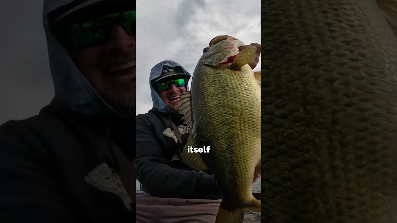 Catching a massive trophy bass at the famous Lake Fork