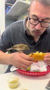 Little bird eats man's taco while sitting on his hand