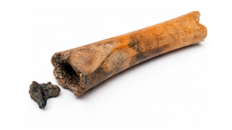 Archaeologists discover 2,000-year-old Roman bone container with a ...
